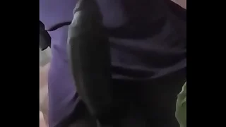 Novinho Exibindo o Pauzao